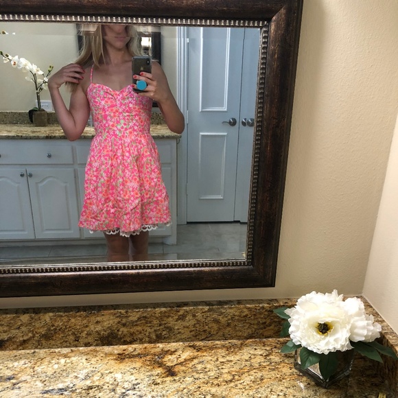 Lilly Pulitzer Dress - Picture 3 of 8